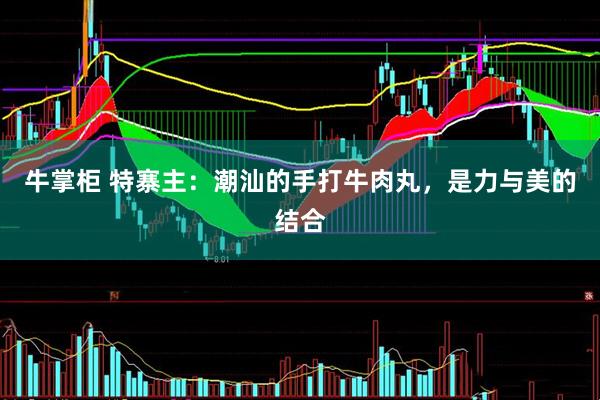 牛掌柜 特寨主：潮汕的手打牛肉丸，是力与美的结合