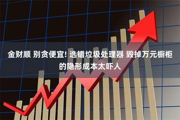 金财顺 别贪便宜! 选错垃圾处理器 毁掉万元橱柜的隐形成本太吓人